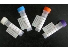 組織因子抗體產品介紹與供應詳情 - 上海安研生物試劑銷售網