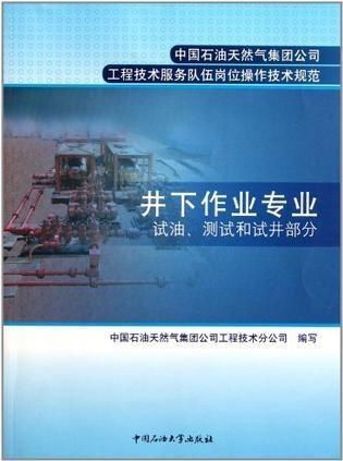 中國石油天然氣集團公司工程技術服務隊伍崗位操作技術規劃 構建卓越服務體系，保障能源安全